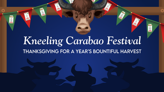 Kneeling Carabao Festival - Thanksgiving for a year’s bountiful harvest
